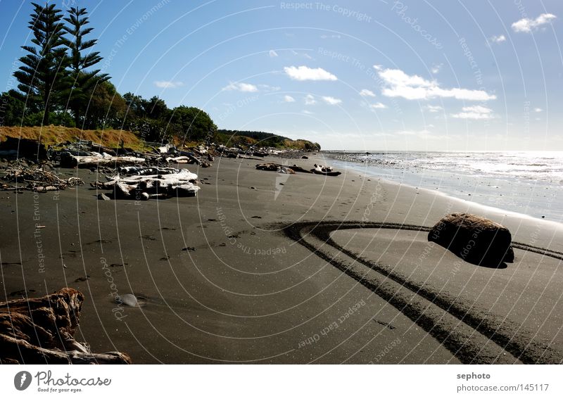 Waitara Beach Spuren Neuseeland Strand springen schwarz Baum Lava Meer Pazifik Atlantik Holz Treibholz schön Wasser New Plymouth Strandung Straße blau Himmel