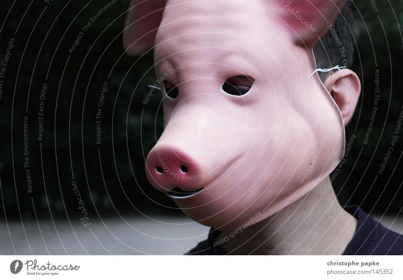 Sau rausgelassen Schwein Maske verstecken Karneval Schwein gehabt anstößig versaut dreckig Rüssel Auge Mensch verkleiden verkleidet lustig obskur Säugetier