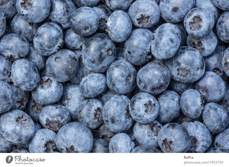 blueberries Lebensmittel Frucht Dessert Blaubeeren Heidelbeere heidelbeeren Ernährung Bioprodukte Vegetarische Ernährung Diät Fingerfood Gartenarbeit Küche