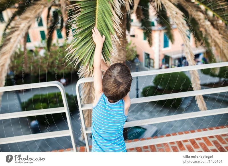 Einmal streicheln, bitte! Ferien & Urlaub & Reisen Tourismus Ausflug Sommerurlaub maskulin Kind Kindheit 1 Mensch 3-8 Jahre Baum Blatt berühren Neugier blau