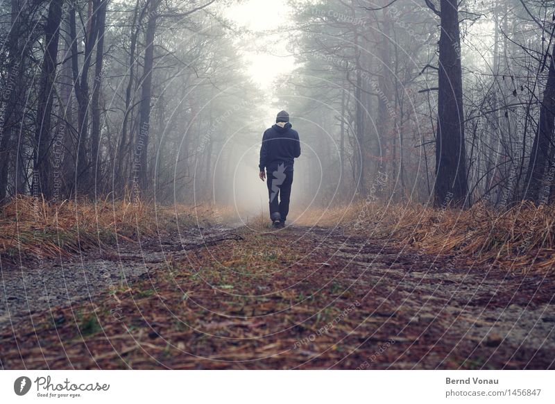 |lil| Mensch maskulin Mann Erwachsene Rücken 1 45-60 Jahre Gefühle Stimmung Wald Spaziergang gehen Gras Baum Nebel Kapuze Einsamkeit Zukunft unklar blau