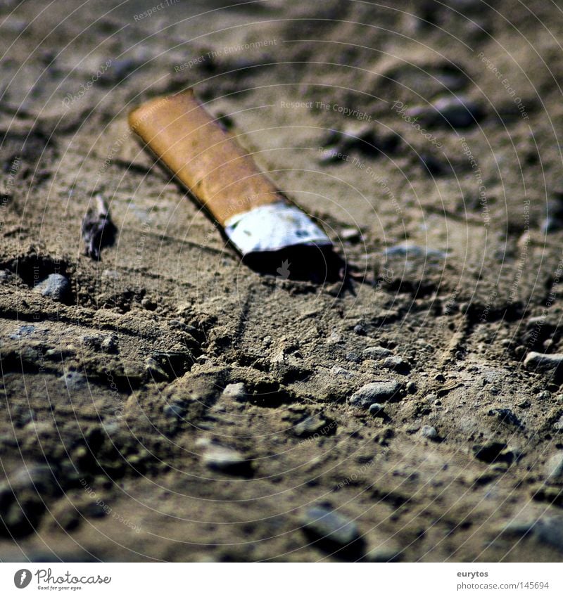 meine Letzte !!! Tabak Staub Makroaufnahme treten ausgedrückt weiß Nikotin Rauschmittel Nahaufnahme Zigarrette Zigarette Brandasche Bodenbelag Rauchen dreckig