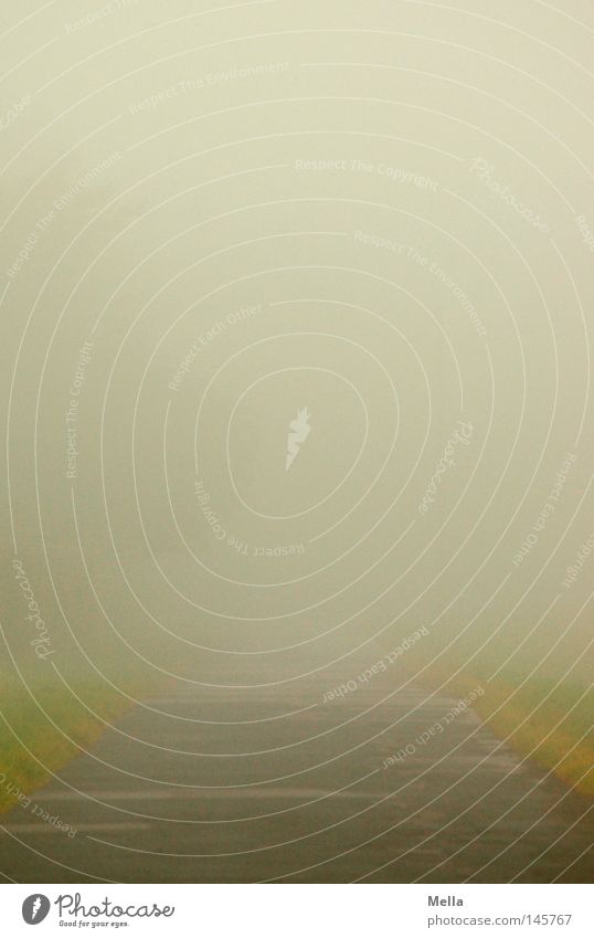 Nebelwärts Dunst Wege & Pfade Fußweg Straße grau trüb trist Herbst feucht sichtbar unsichtbar unklar ungewiss Silhouette grün Wegrand Gras Verkehrswege Himmel