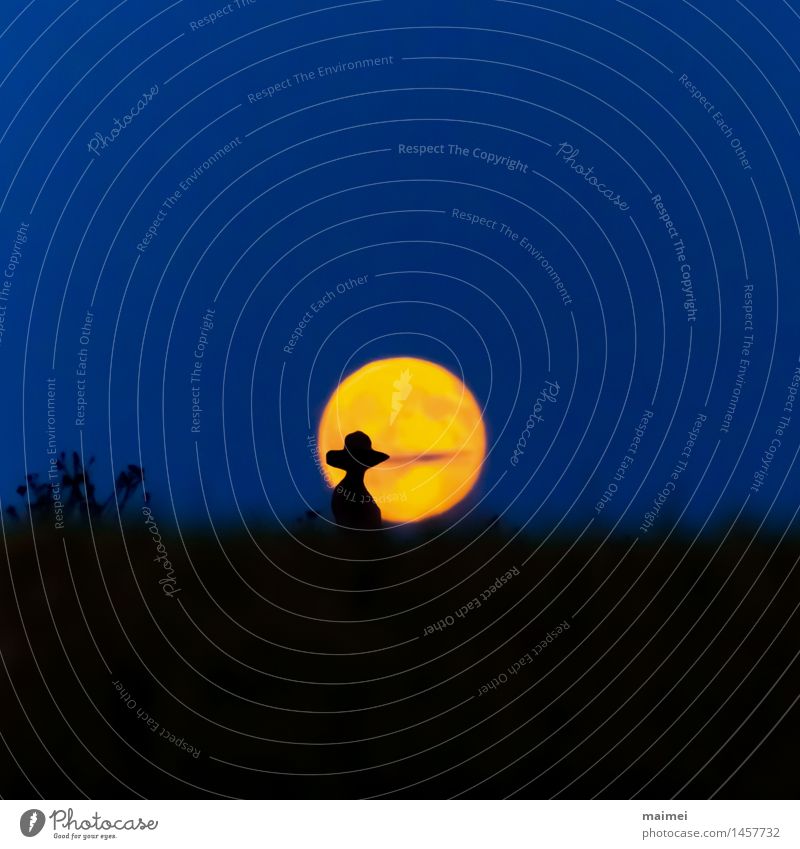 Silhouette vor dem Vollmond Freude Glück harmonisch Frau Erwachsene 1 Mensch Natur Landschaft Nachthimmel Horizont Mond Feld Kleid Hut beobachten träumen