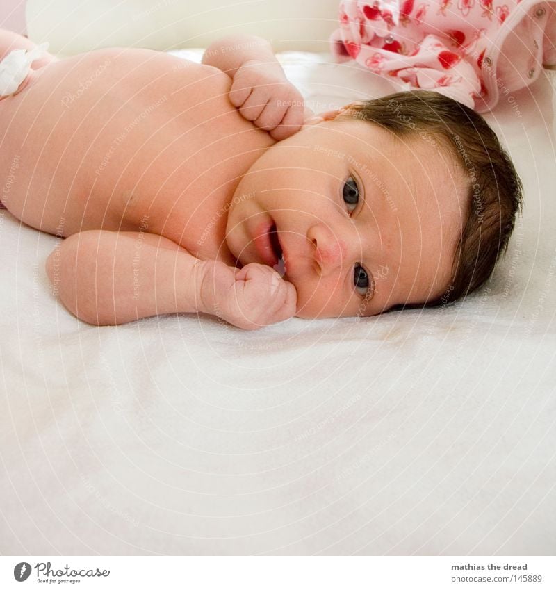 HALLO Baby Nachkommen neugeboren Kindergesicht 1 Mensch einzeln Porträt Blick in die Kamera nackt niedlich Mädchen Nackte Haut