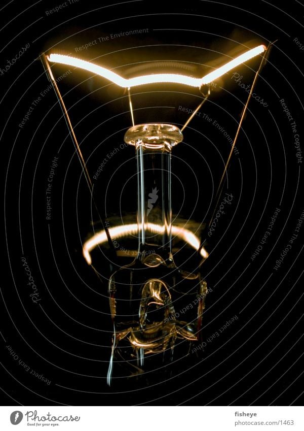 Lichtquelle/2 Glühbirne Elektrizität dunkel Elektrisches Gerät Technik & Technologie Energiewirtschaft Glas Metall