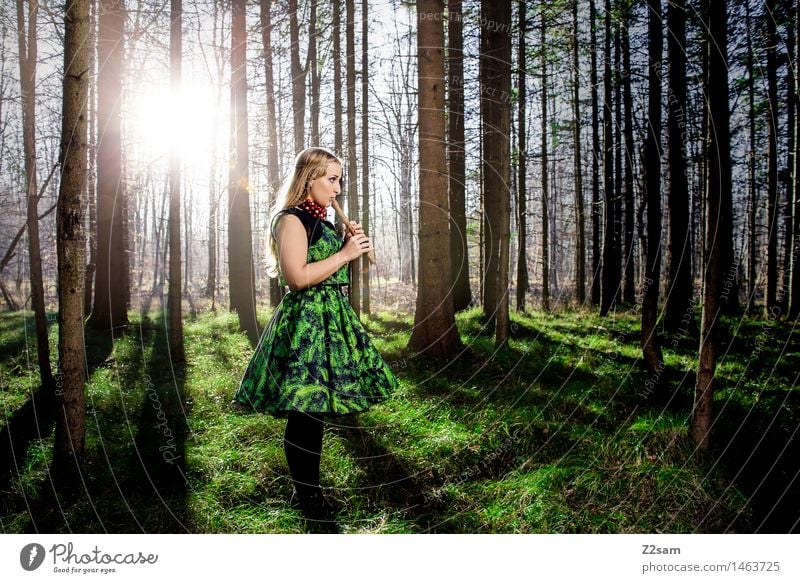 Frau spiel Flöte im Zauberwald elegant Stil Weihnachten & Advent feminin Junge Frau Jugendliche 18-30 Jahre Erwachsene Natur Landschaft Sonne Sonnenlicht Herbst