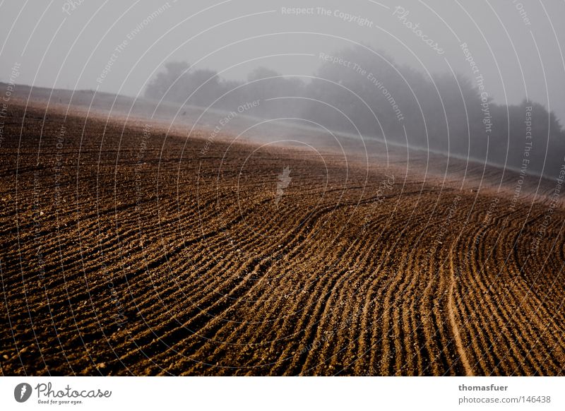Herbstacker Feld Nebel Sonnenaufgang trist Lampe Romantik Landwirtschaft ruhig Denken Beginn Ende Zeichen Vergänglichkeit Frieden umgepflügt Nachdenken
