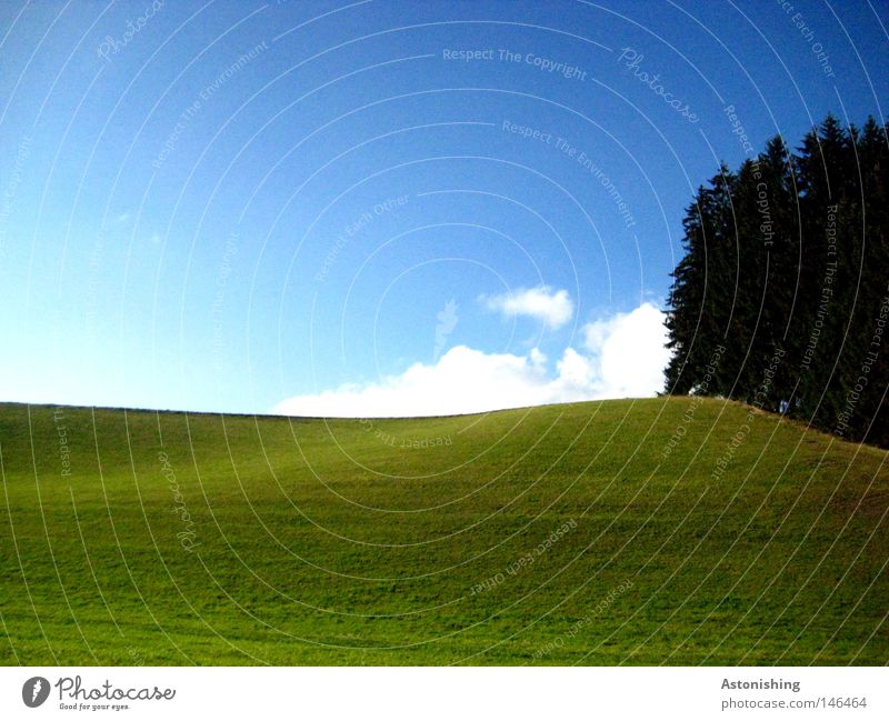 unspektakuläre Naturaufnahme Landschaft Himmel Wolken Gras Wiese Hügel dunkel hell blau grün Landschaftsformen Österreich aufwärts Mühlviertel Kontrast