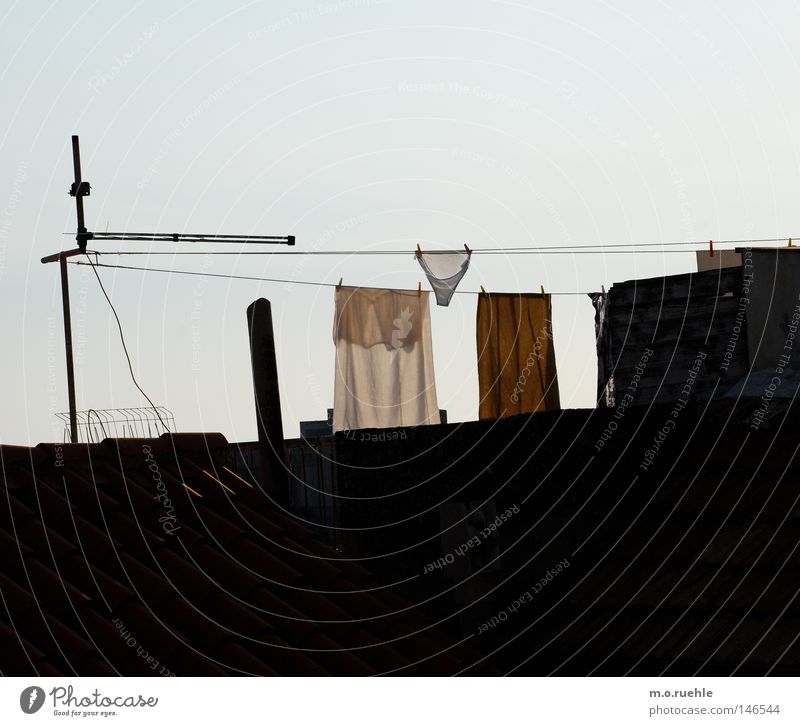 Spanner Unterwäsche Unterhose Wäscheleine Seil Dach trocknen aufhängen spannen Präsentation Nachbar Handtuch lüften Bekleidung Dekoration & Verzierung Sommer