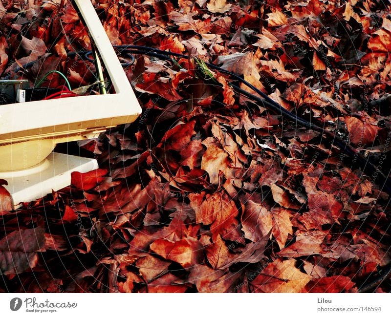Gefallen. Bildschirm Computer Kabel Müll Schrott Jahreszeiten Herbst Blatt kaputt Zerstörung braun gelb weiß mögen abwärts