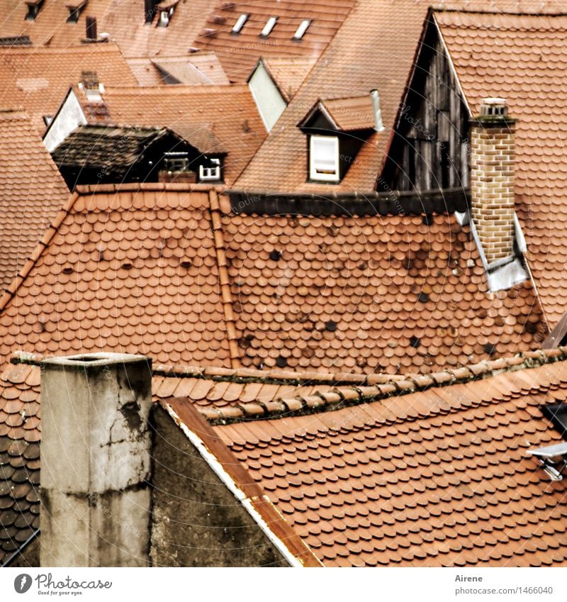 altfränkisch Bamberg Franken Stadtzentrum Altstadt Menschenleer Haus Dach Schornstein Backstein ästhetisch oben Spitze braun rot Vertrauen Sicherheit Schutz