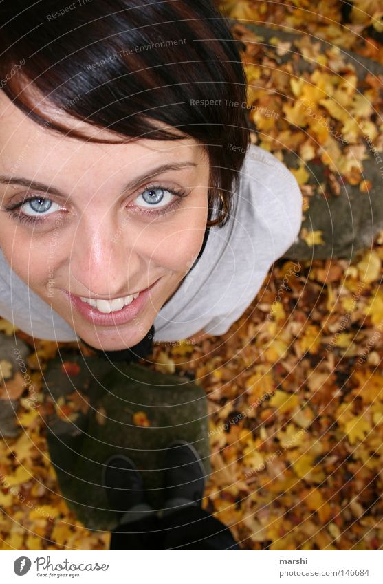 hallo mein freund da oben... Herbst Blatt Blick Freundschaft Schwärmerei unten Freude herbstlich mehrfarbig schmachten Auge eye blau blue Perspektive