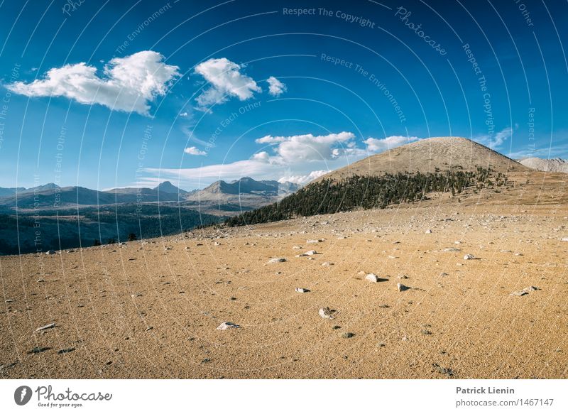 Bighorn Plateau Sinnesorgane Erholung ruhig Ferien & Urlaub & Reisen Abenteuer Camping Sommer Berge u. Gebirge wandern Umwelt Natur Landschaft Himmel Wolken