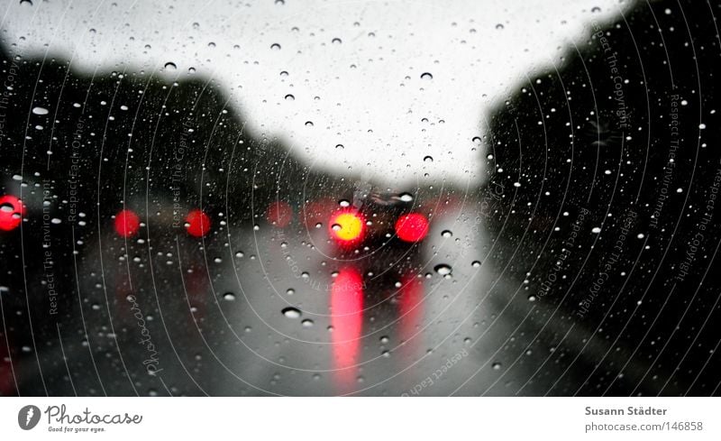 Regenbahn Licht Wetter Verkehrswege Autobahn PKW leuchten Bremse Windschutzscheibe KFZ Aquaplaning Winterreifen Sommerreifen nass Sicherheit Glätte Herbst