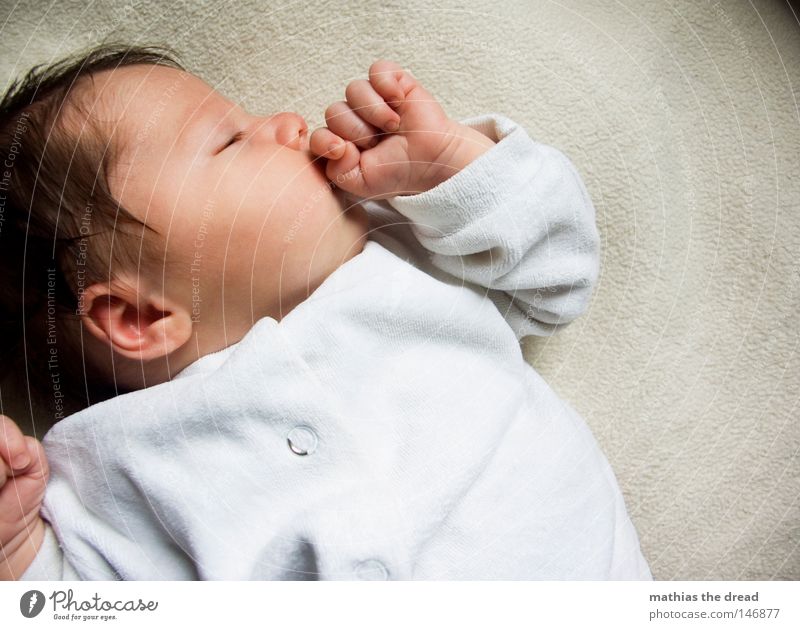 KNOCK-OUT Baby Nachkommen Mädchen schlafen träumen ruhig Zufriedenheit Kindergesicht Porträt Vor hellem Hintergrund 1 Mensch einzeln niedlich friedlich Profil