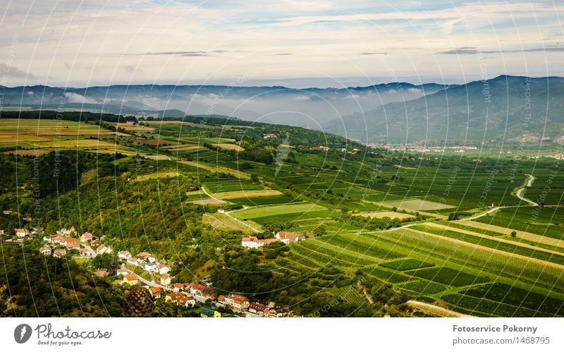 Morgennebel über Furth Natur Landschaft Pflanze Herbst Nebel Feld Erholung Farbfoto Außenaufnahme Panorama (Aussicht)