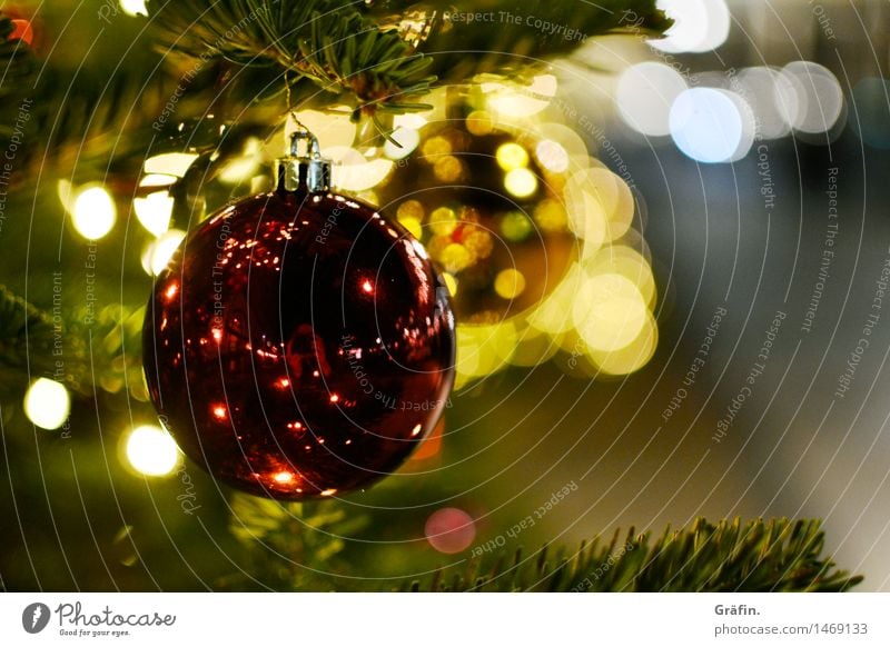 Glitzernde Weihnachten elegant Winterurlaub Weihnachten & Advent Baum Nadelbaum Dekoration & Verzierung Kitsch Krimskrams Christbaumkugel Glas glänzend gold