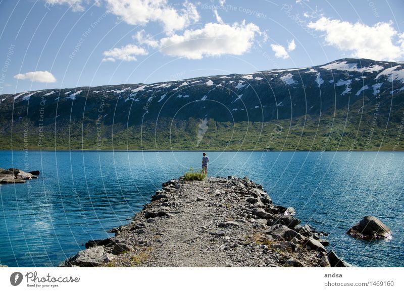 Somewhere in Norway Mensch maskulin Junger Mann Jugendliche Erwachsene 1 18-30 Jahre Natur Landschaft Tier Urelemente Erde Luft Wasser Himmel Wolken Sonne