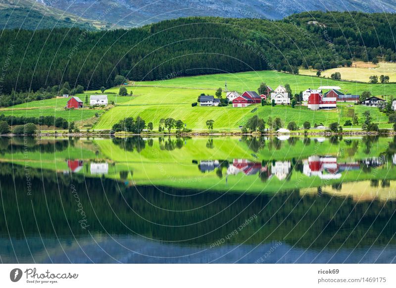 Bergsee in Norwegen Erholung Ferien & Urlaub & Reisen Berge u. Gebirge Haus Natur Landschaft Wasser See Hütte Gebäude Idylle Tourismus Gebirgssee