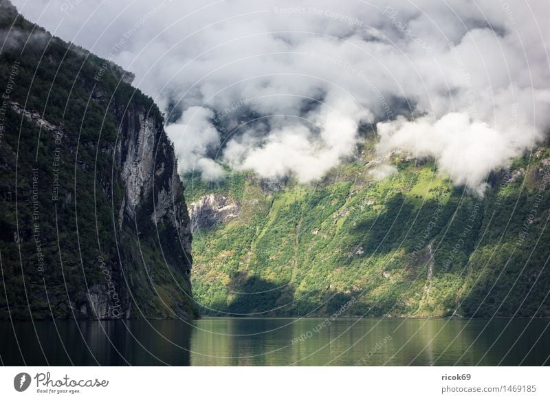 Blick auf den Geirangerfjord Erholung Ferien & Urlaub & Reisen Berge u. Gebirge Natur Landschaft Wasser Wolken Nebel Küste Fjord Idylle Klima Tourismus Norwegen