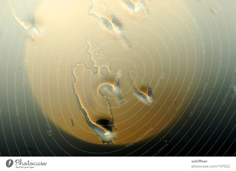 Spermiensonne Sonne Reflexion & Spiegelung Fensterscheibe Regen Wassertropfen Tropfen Trauer Tränen Tod glänzend schimmern Wetter Meteorologie unbeständig