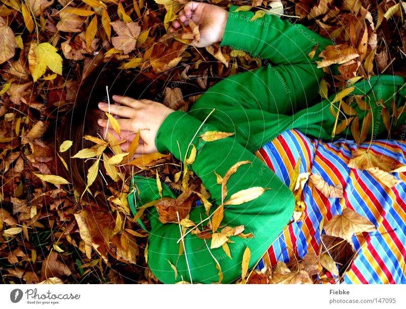 versteckspiel à la kindergarten ... Herbst Blatt mehrfarbig braun Jahreszeiten verstecken Boden gestreift grasgrün Gesicht verborgen liegen Freude Langeweile