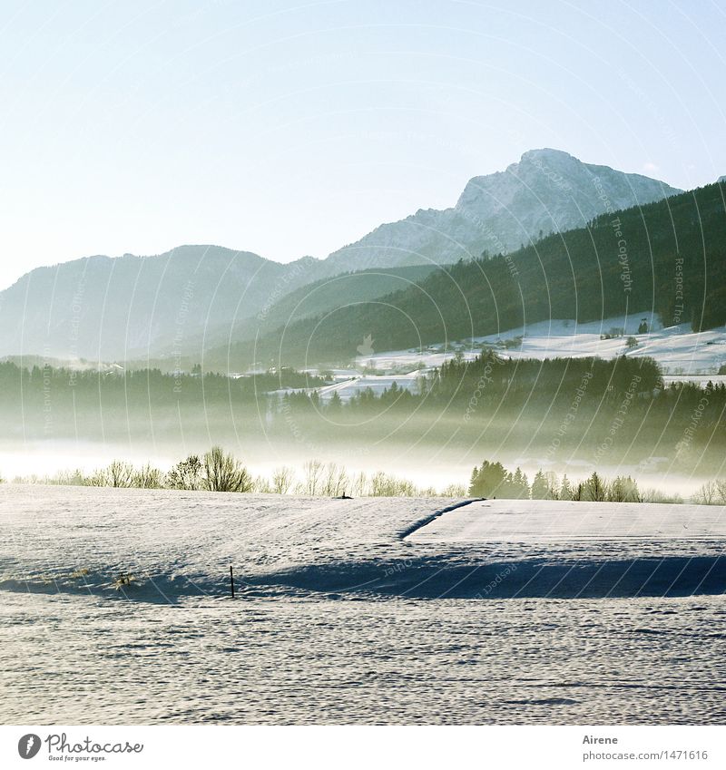 es war einmal III Schnee Berge u. Gebirge Natur Urelemente Luft Himmel Winter Schönes Wetter Nebel Alpen Allgäuer Alpen Gipfel Schneebedeckte Gipfel Oberbayern