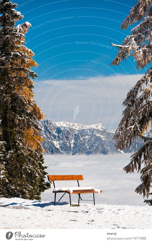 Zeit zum Genießen Erholung ruhig Ausflug Winter Schnee Winterurlaub Berge u. Gebirge Natur Landschaft Himmel Schönes Wetter einfach mehrfarbig Pause Bank