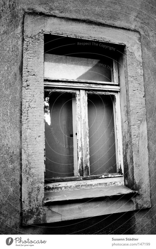 Fenster zum Hof schwarz weiß Schwarzweißfoto alt old-school DDR Sanieren Renovieren Modernisierung konventionell Tür Haus verfallen Einsamkeit unsaniert