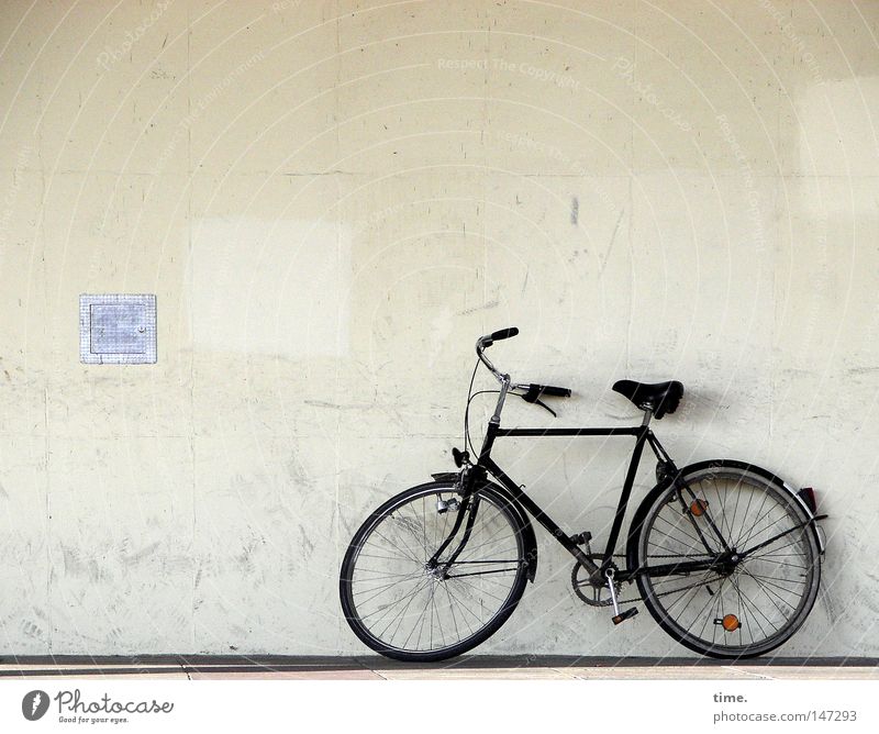 Fietse, sich etwas ausruhend Freizeit & Hobby Spielen Haus Fahrrad Gebäude Mauer Wand Verkehrsmittel warten dreckig ökologisch Potsdam Klappe Gitter parken