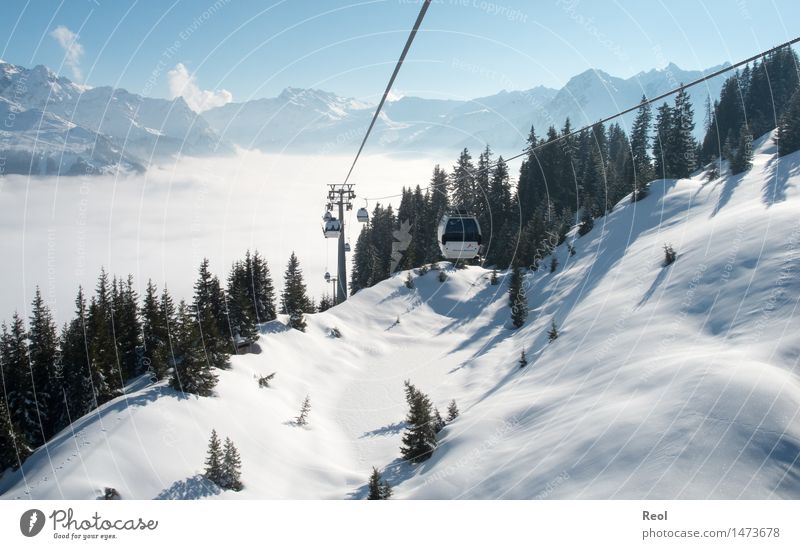 Bergbahn Wintersport Natur Landschaft Himmel Wolkenloser Himmel Schönes Wetter Schnee Tanne Wald Alpen Berge u. Gebirge Montafon Gipfel Schneebedeckte Gipfel