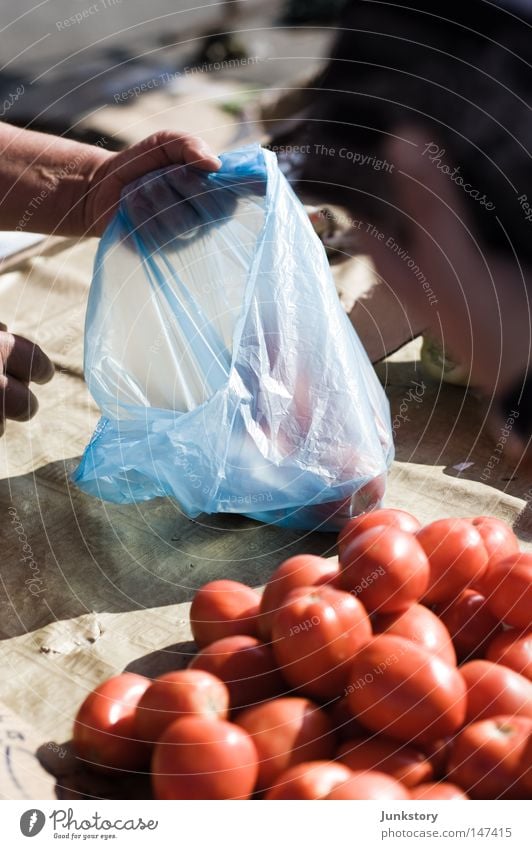 Paradeiser Tomate Gemüse Ernährung Lebensmittel Handel verkaufen rot Tüte Kunststoff Plastiktüte blau Händler Schatten Zagreb Kroatien Ferien & Urlaub & Reisen