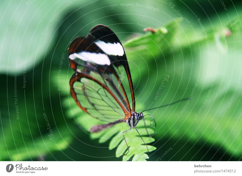 Kleine Schonheit Natur Ein Lizenzfreies Stock Foto Von Photocase