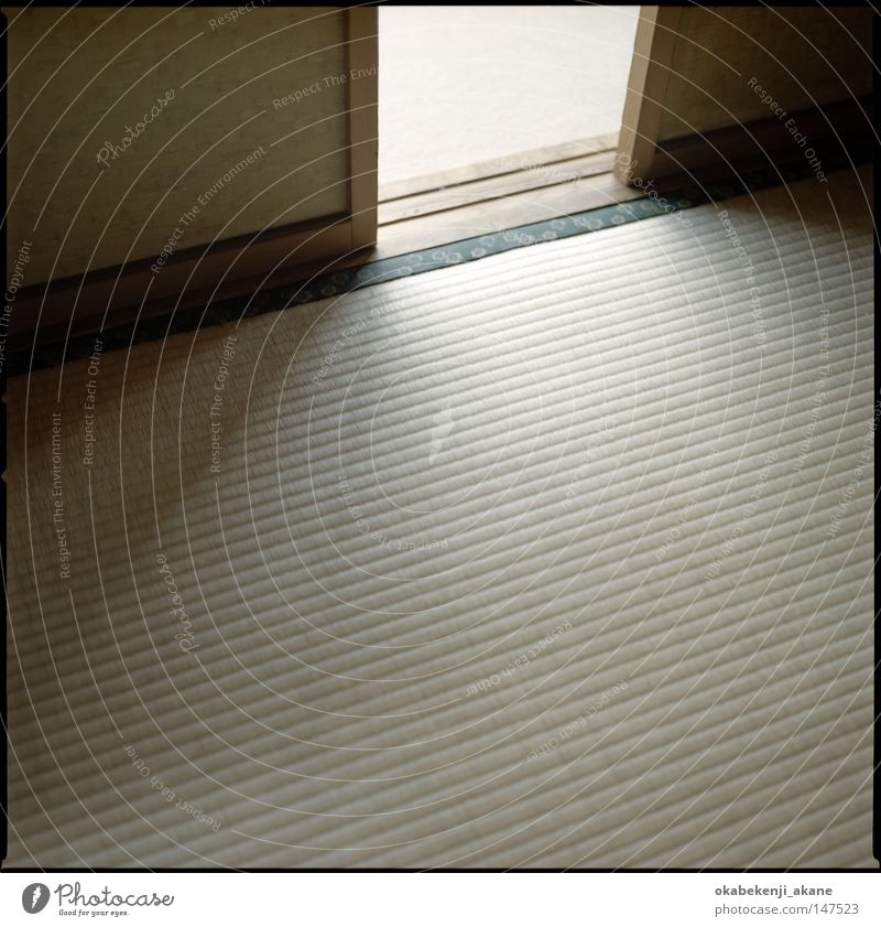 Tatami Japan Licht Lichterscheinung Schatten Tokyo Strukturen & Formen Nostalgie Blitzeffekt Strukturen und Formen Schererei
