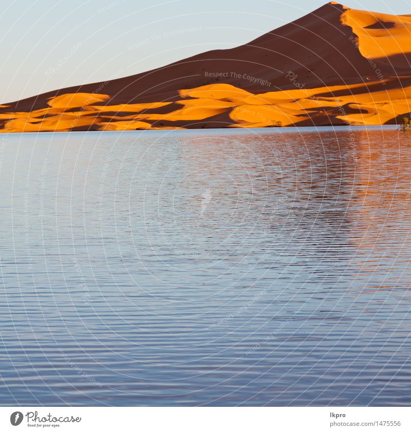 Sand Ferien & Urlaub & Reisen Abenteuer Safari Sonne Natur Landschaft Wärme Dürre See heiß gelb rot Einsamkeit Afrika Afrikanisch arabisch trocken Hintergrund