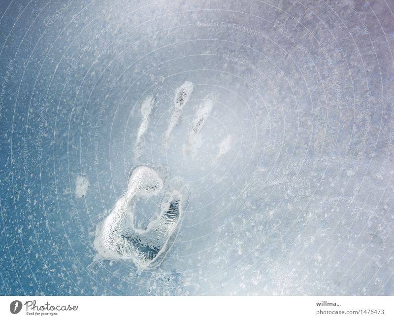 das eiskalte händchen Hand Winter Eis Frost Fensterscheibe Handabdruck gefroren Fingerabdruck Strukturen & Formen Krimi Glas frieren