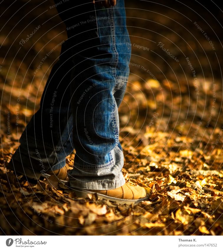 Herbstfüße Jahreszeiten gold Blatt Hose Jeanshose Jeansstoff Schuhe Stiefel Waldboden Fuß Beine jean