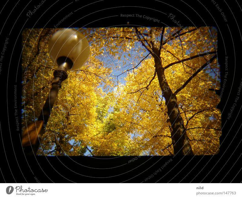 Analog–Digital (Aufm weg zur Wiesn) analog Herbst Fußweg Laterne gelb mehrfarbig Fröhlichkeit himmelblau Theresienwiese Sucher gold Kontrast Schönes Wetter