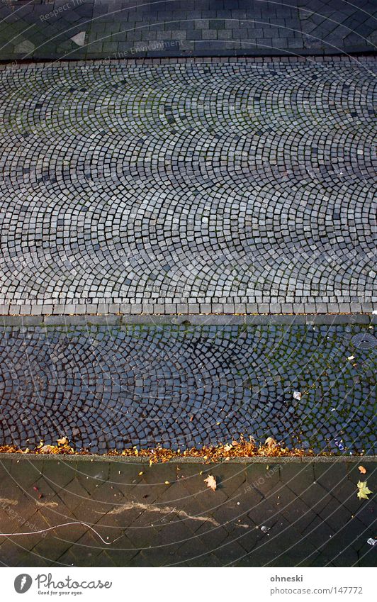 Straßenaufsicht Muster Vogelperspektive Herbst Blatt Verkehrswege Linie hoch oben blau grau Bürgersteig Seitenstreifen Kopfsteinpflaster leer graphisch