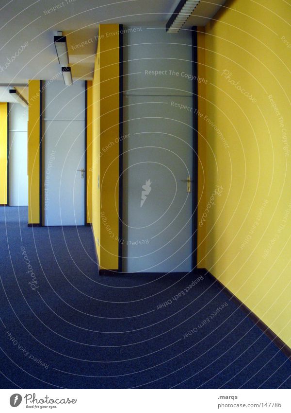 1, 2 oder 3? Tür Flur gelb Wand Teppich Eingang Ausgang Farbe Büro blau Linie Bodenbelag Gang