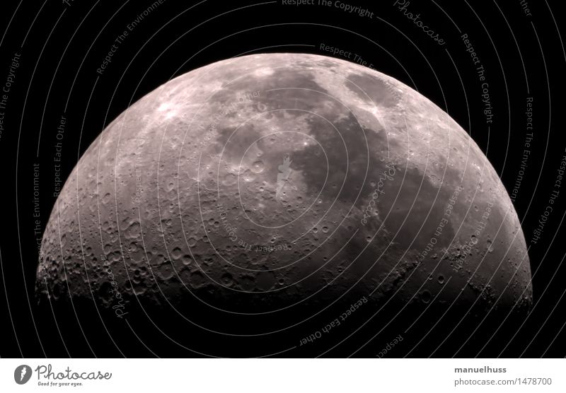 Halbmond Wissenschaften Raumfahrt Nachthimmel Mond Krater dunkel Terminator Teleskop Zoomeffekt Detailaufnahme groß schwarz weiß demütig Respekt Weltall Mare