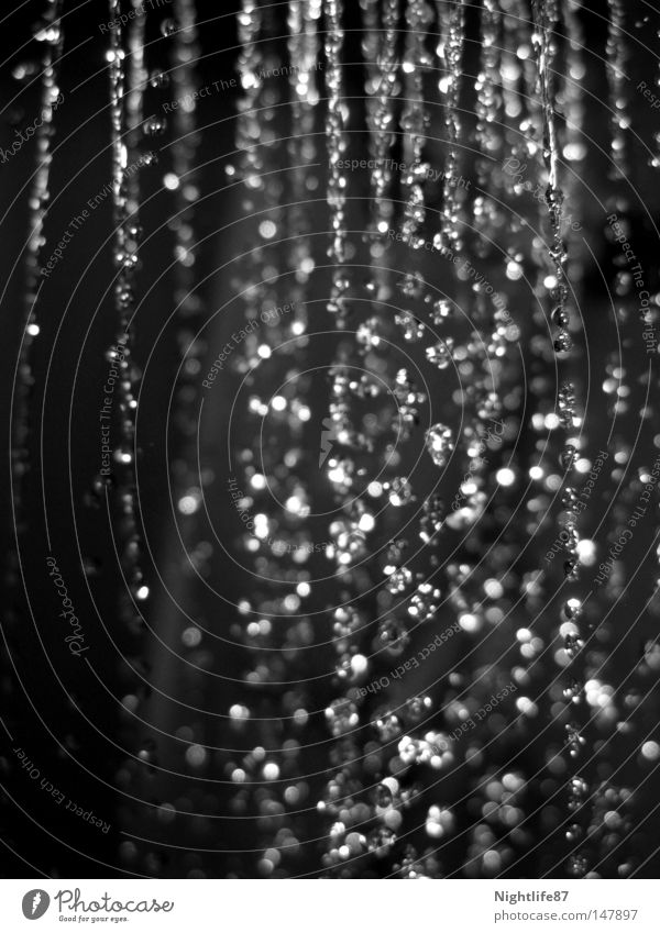 Perlenregen Schwarzweißfoto Detailaufnahme Strukturen & Formen Menschenleer Starke Tiefenschärfe Wasser Wassertropfen Tropfen Flüssigkeit nass Sauberkeit