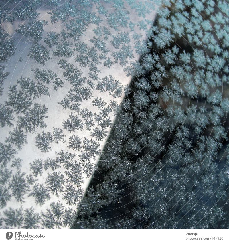 Damon Frost Farbfoto Gedeckte Farben Außenaufnahme Winter Schnee Eis Glas frieren glänzend außergewöhnlich dunkel hell kalt blau schwarz weiß ästhetisch