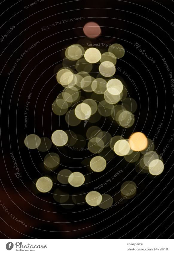Kurzsichtige Weihnachten Feste & Feiern Weihnachten & Advent Silvester u. Neujahr Schnee Pflanze Baum Dekoration & Verzierung Mitgefühl Gastfreundschaft