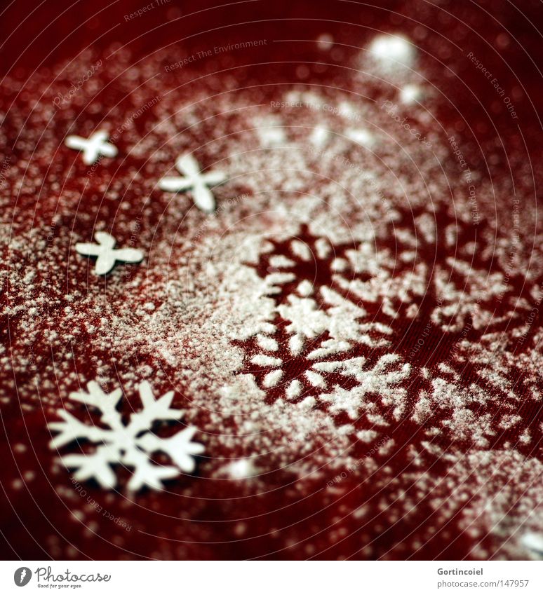 Snowflakes Winter Schnee Feste & Feiern Dekoration & Verzierung schön Weihnachtsdekoration besinnlich verschönern Schneeflocke Flocke Dezember Jahreszeiten