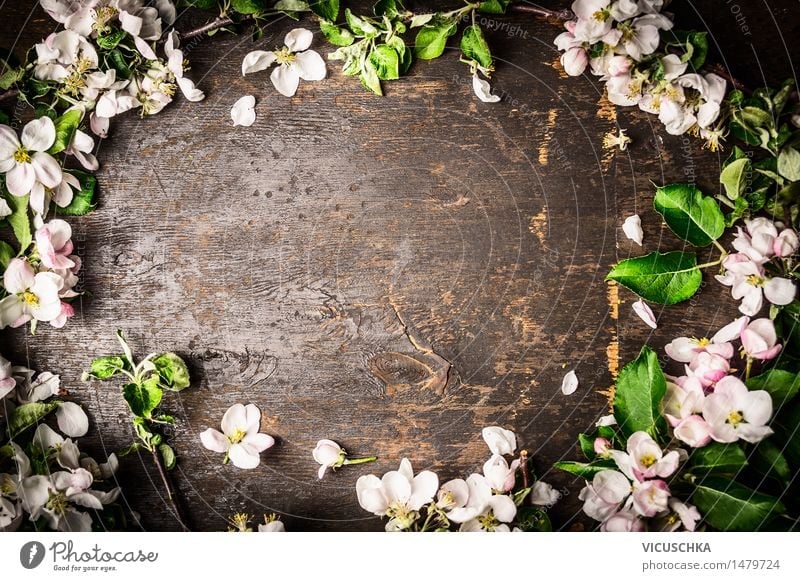 Baumblüten auf rustikalen Hintergrund , Rahmen Stil Design Dekoration & Verzierung Tisch Natur Pflanze Frühling Blatt Blüte Blumenstrauß Holz Blühend rosa
