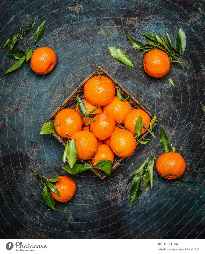 Frische Mandarinen mit Blättern auf dunklem Hintergrund Lebensmittel Frucht Orange Ernährung Stil Design Gesundheit Gesunde Ernährung Sommer Winter Tisch Natur