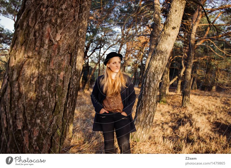 steht ein.......... Lifestyle elegant Stil feminin Junge Frau Jugendliche 30-45 Jahre Erwachsene Natur Landschaft Sonnenlicht Herbst Schönes Wetter Baum Gras