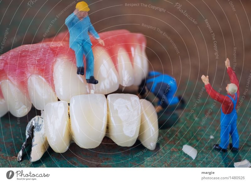 Miniwelten - Zahnsanierung III Gesundheit Gesundheitswesen Behandlung Modellbau Handwerker Arzt Arbeitsplatz Baustelle Dienstleistungsgewerbe Mensch maskulin